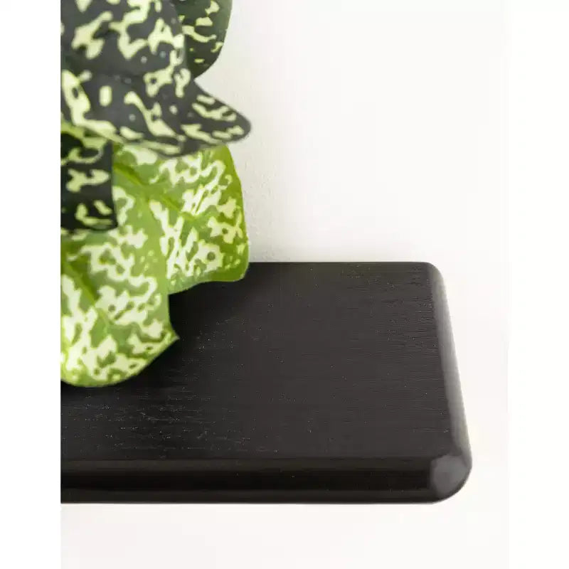 Black and White Decorative Shelf: Modern-style wall-mounted storage rack, three-tier design.